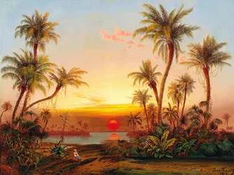 Paysage du sud avec des palmiers dans la lumière du soir